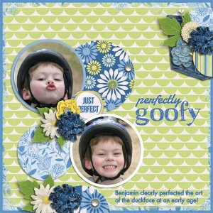 Perfectly Goofy