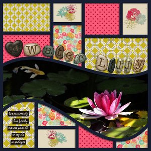 Water Lily
