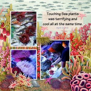 Sea Plants