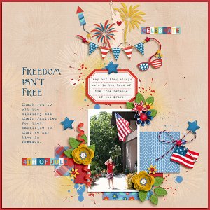 Freedom isn't Free