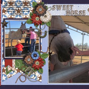Sweet Horse