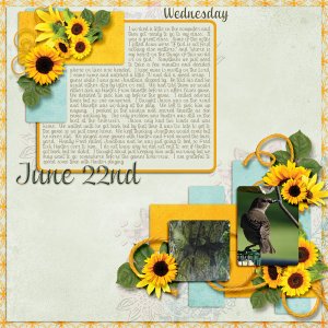 kw_summersunflowers_LO1