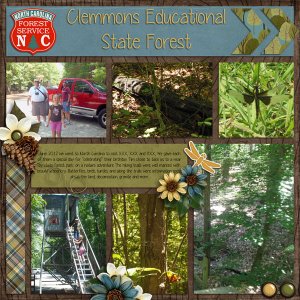 Clemmons State Forest pg 1