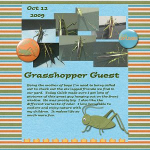 Grasshopper Guest
