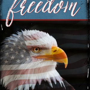 ATC 2016-30 Celebrate Freedom
