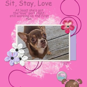 Sit, Stay, Love