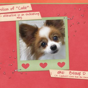 Definition of Cute -2