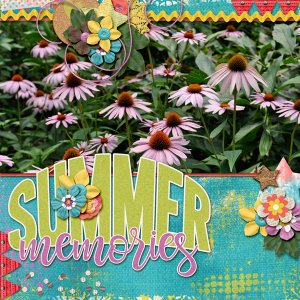 Coneflowers