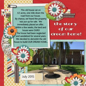 The Story of our dream home