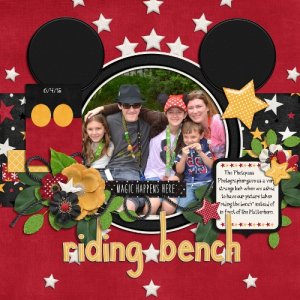 Riding Bench
