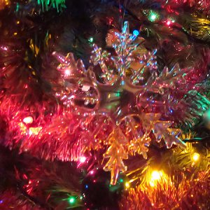 December - Say Click