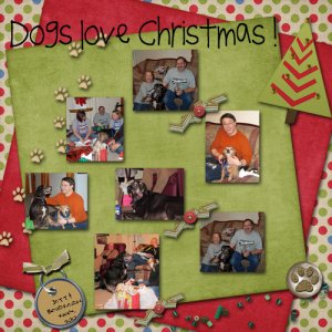 Dogs love Christmas