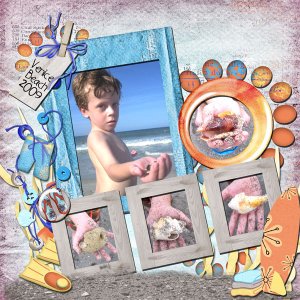 Beach Treasures