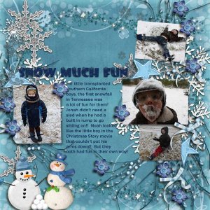Snow Much Fun