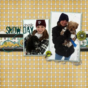 Doggie Snow Day