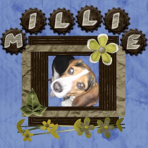 Millie