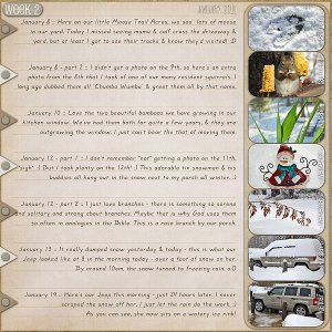 2011 Week 2