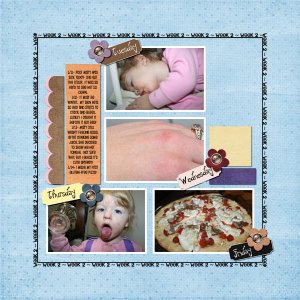 2011 365- Week 2b