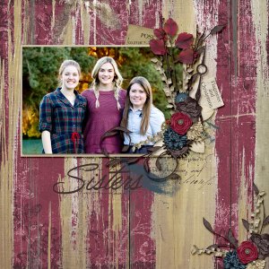 Sister Missionaries