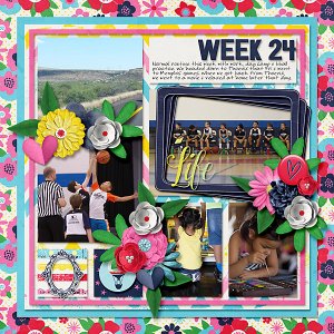 Week 24