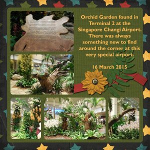 Orchid Garden