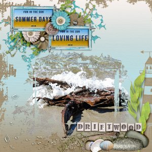 Driftwood