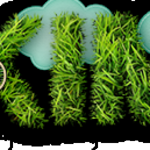 July Signature