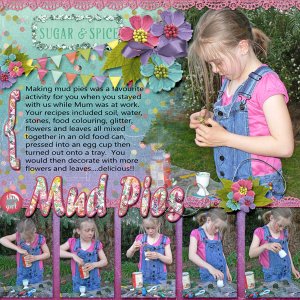 Mud Pies