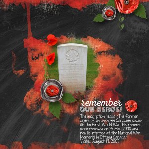 Remember Our Heroes