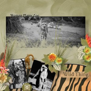Zoo