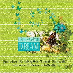 Hope, Wish, Dream