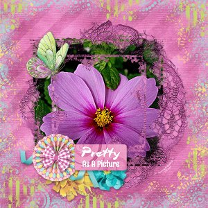 Cosmos By RB
