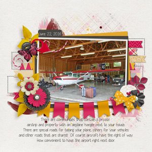 Airplane Hanger