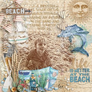Life at the Beach