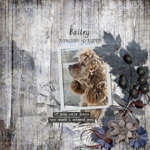 Bailey
