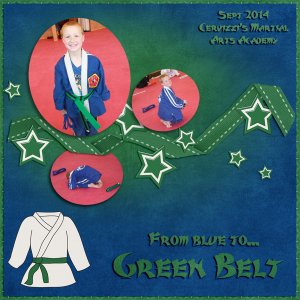 2014 Sept AJ Green belt