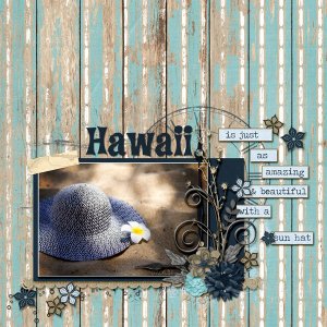 Hawaii Sunhat