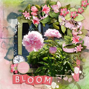 Bloom12