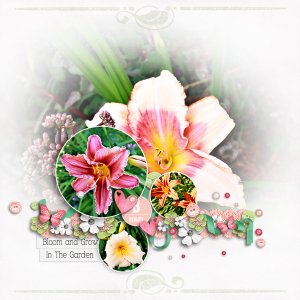 Blooms