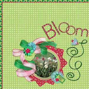 Bloom