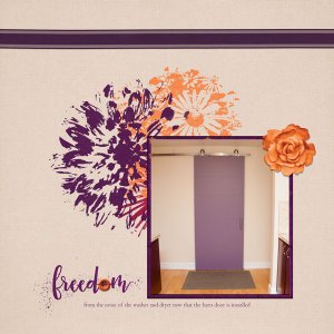 Purple Barn Door