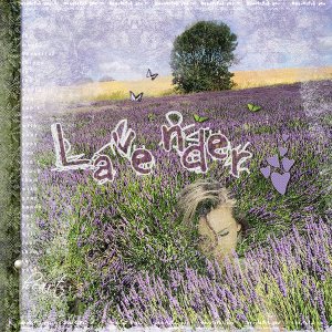 Lavender