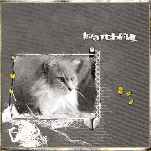 Watchful