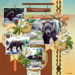 Russias Grizzly Coast