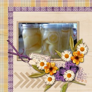 Canned Pears