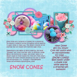 0716 Snow Cones