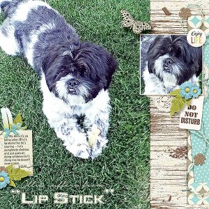 Lip Stick