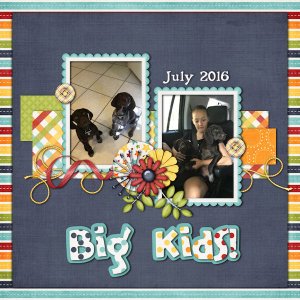Template Challenge August 2016