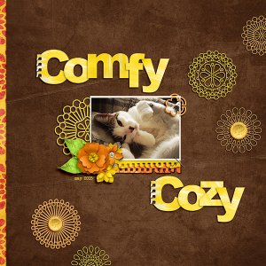 comfy cozy