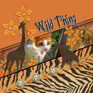 Wild Thing
